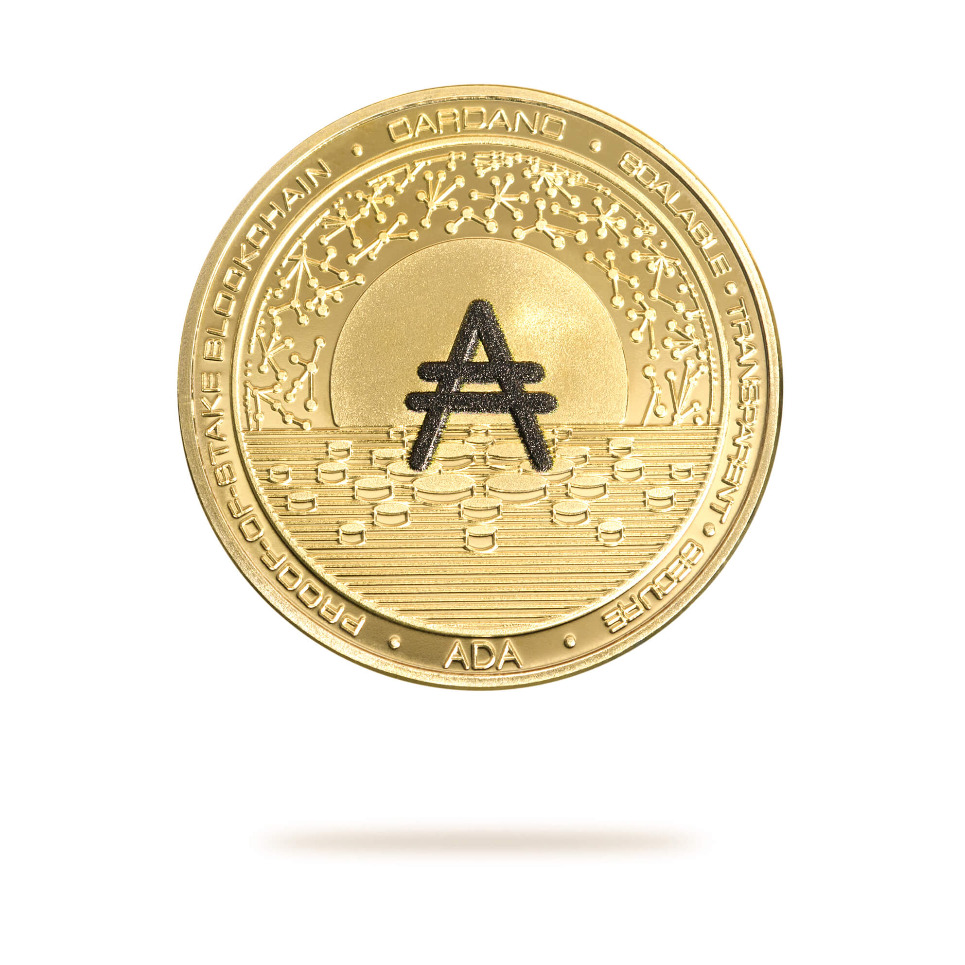 Cardano