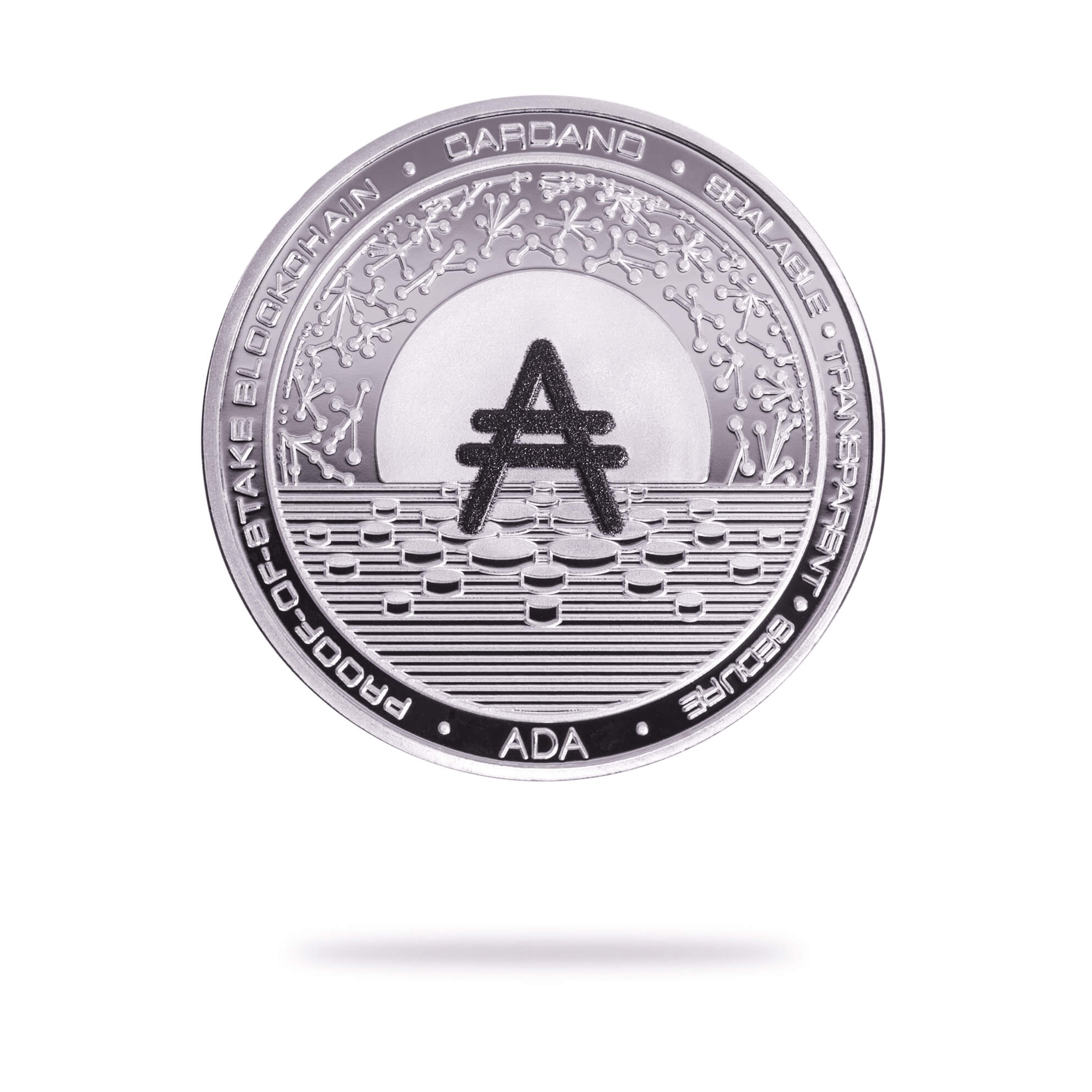 Cryptochips | Cardano Physical Crypto Coin. Collectable cryptocurrency merch you can hodl