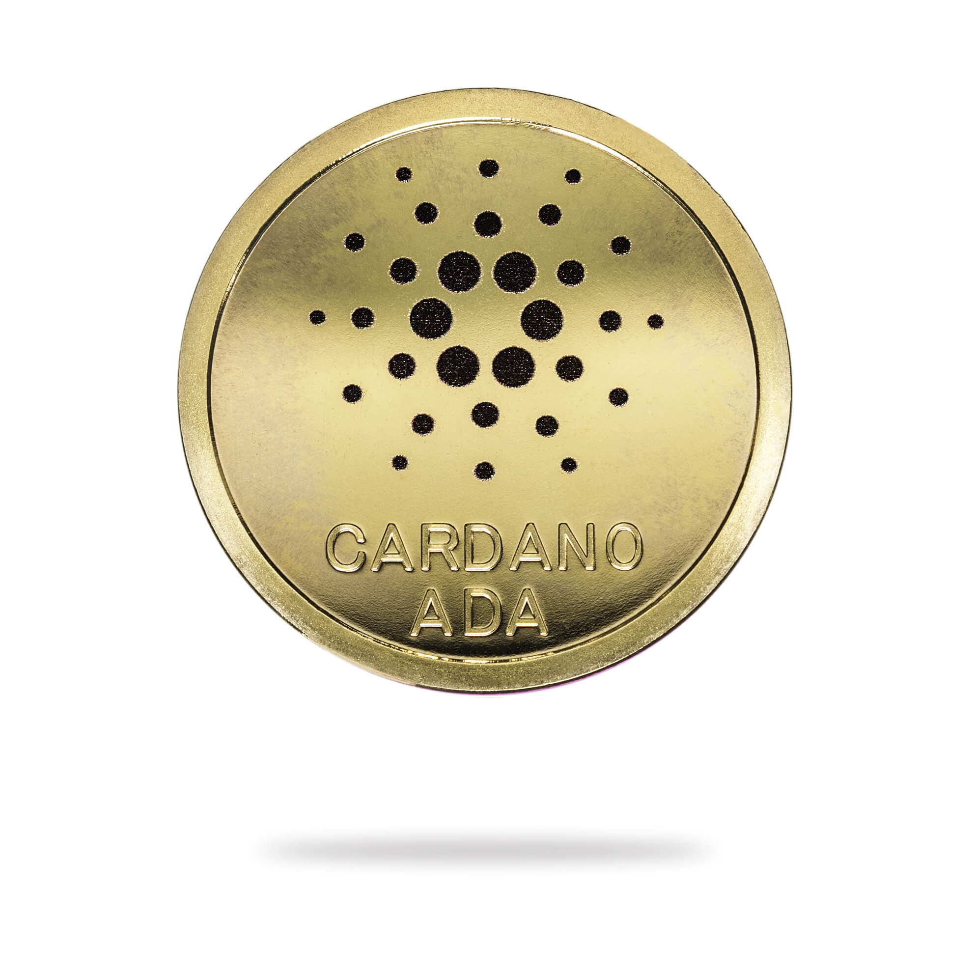 Cardano (2021 Edition)